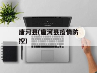 唐河县(唐河县疫情防控)